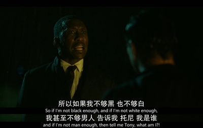 绿皮书剧照的剧照