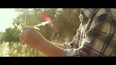 普罗旺斯的夏天剧照的剧照