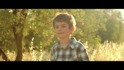 普罗旺斯的夏天剧照的剧照