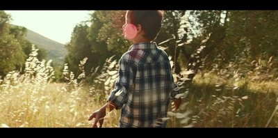 普罗旺斯的夏天剧照的剧照