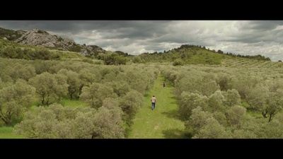 普罗旺斯的夏天剧照的剧照