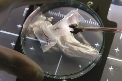 异星觉醒剧照的剧照