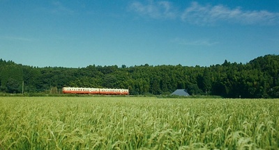 小偷家族剧照的剧照