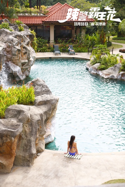 辣警霸王花剧照的剧照