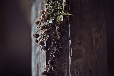 哭声剧照的剧照