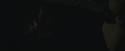 至暴之年剧照的剧照