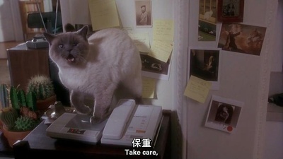 十二猴子剧照的剧照