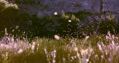 大河恋剧照的剧照