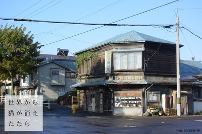 假如猫从世界上消失了剧照的剧照