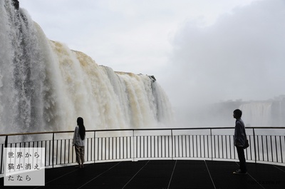 假如猫从世界上消失了剧照的剧照