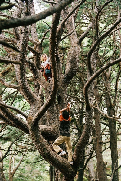 仙境之桥剧照的剧照