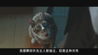 我，机器人剧照的剧照