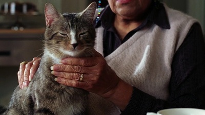 我，机器人剧照的剧照