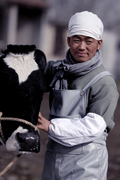 人在囧途剧照的剧照