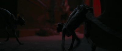 夺命金字塔剧照的剧照