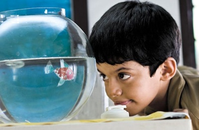 地球上的星星剧照的剧照