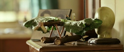 地球上的星星剧照的剧照