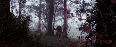 野兽家园剧照的剧照