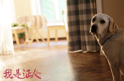 我是证人剧照的剧照