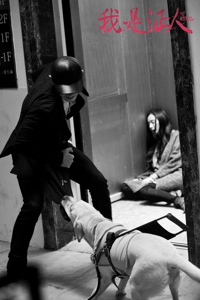 我是证人剧照的剧照