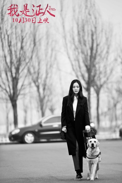 我是证人剧照的剧照