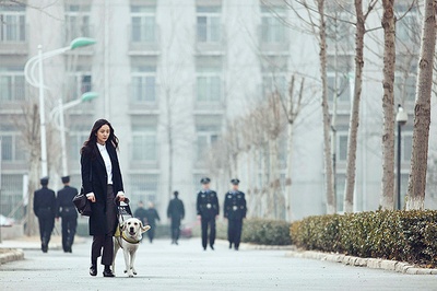 我是证人剧照的剧照