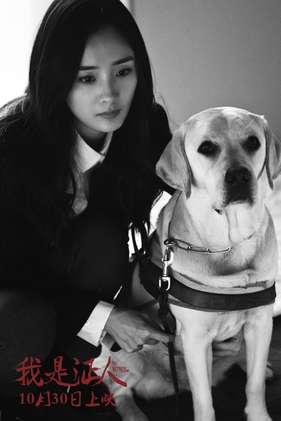 我是证人剧照的剧照