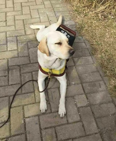 我是证人剧照的剧照