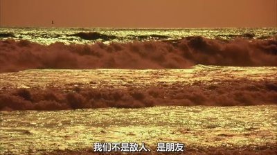 美国X档案剧照的剧照