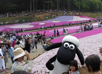 小羊肖恩剧照的剧照