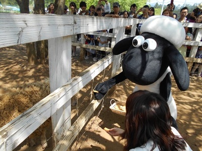 小羊肖恩剧照的剧照