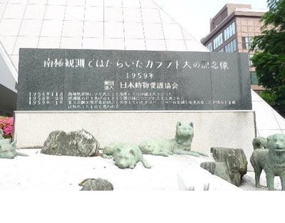 南极物语剧照的剧照