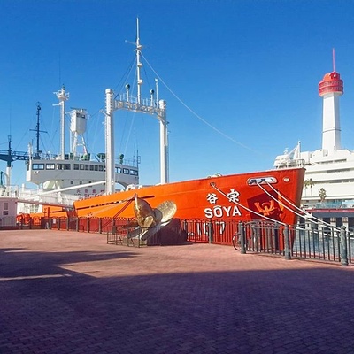 南极物语剧照的剧照