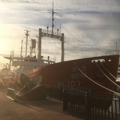 南极物语剧照的剧照