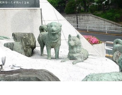 南极物语剧照的剧照