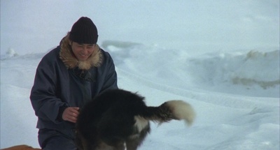 南极物语剧照的剧照