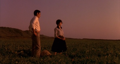 南极物语剧照的剧照