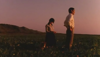 南极物语剧照的剧照