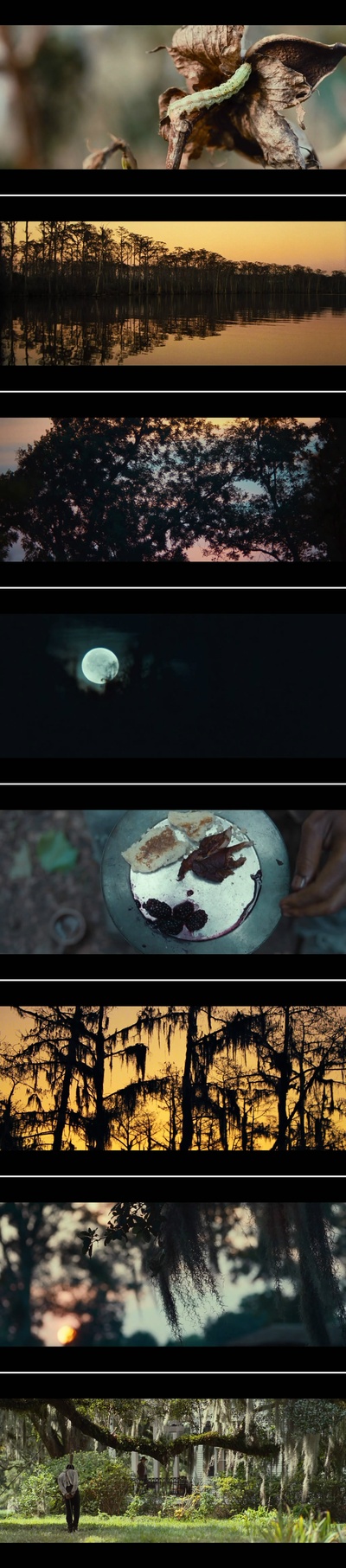 为奴十二载剧照的剧照