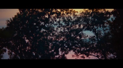 为奴十二载剧照的剧照