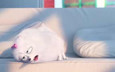 爱宠大机密剧照的剧照