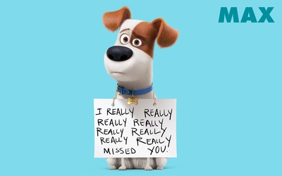 爱宠大机密剧照的剧照