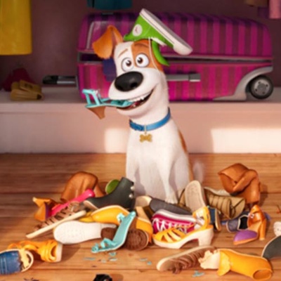 爱宠大机密剧照的剧照