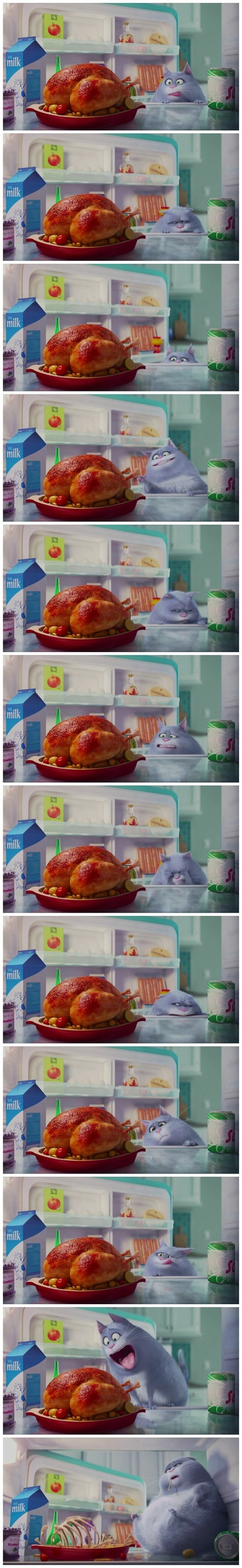 爱宠大机密剧照的剧照