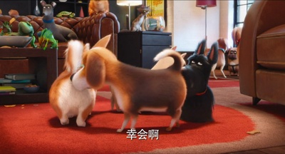 爱宠大机密剧照的剧照