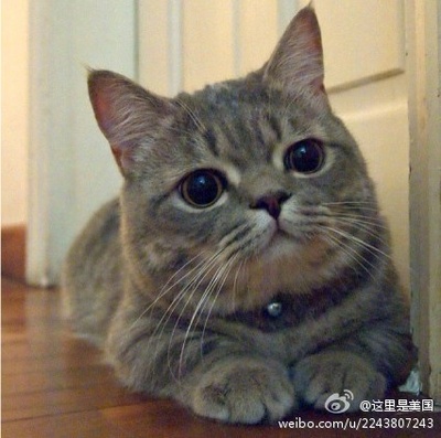 环形使者剧照的剧照