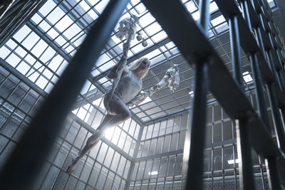 自杀小队剧照的剧照