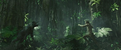 泰山归来：险战丛林剧照的剧照