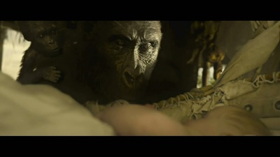 泰山归来：险战丛林剧照的剧照