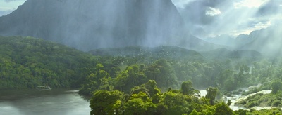 泰山归来：险战丛林剧照的剧照